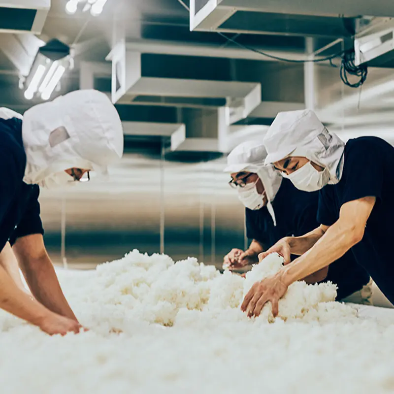 製麹の様子