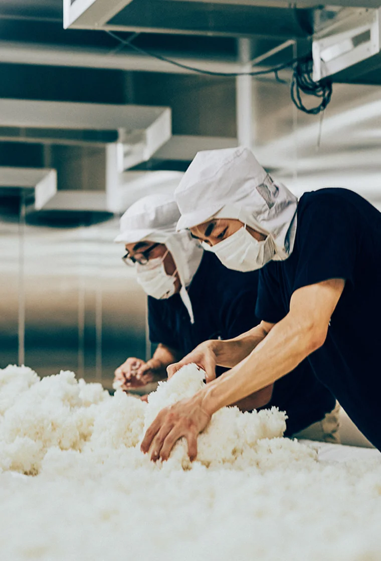日本酒造りの様子